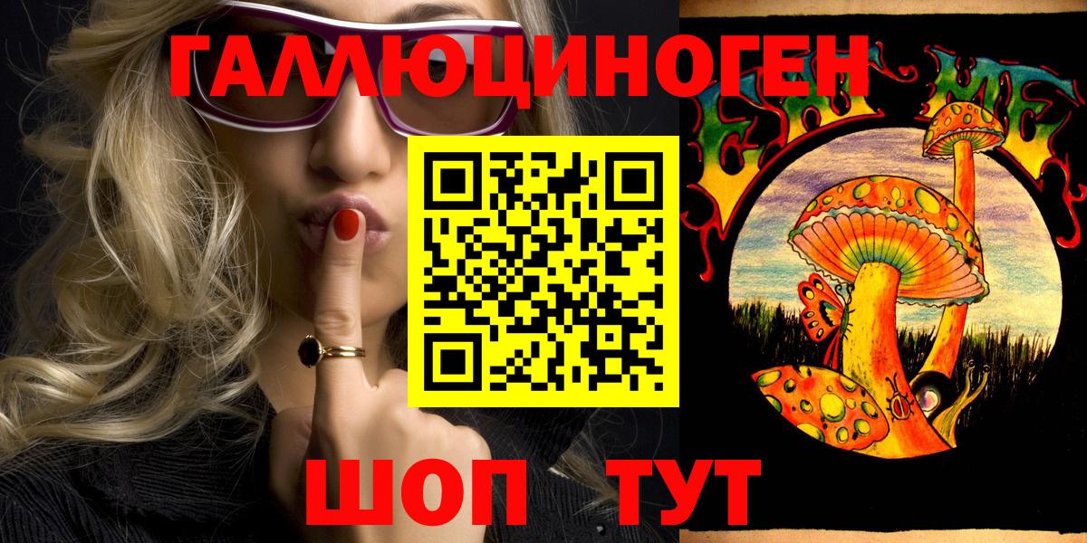 Псилоцибиновые грибы Psilocybe Чебаркуль