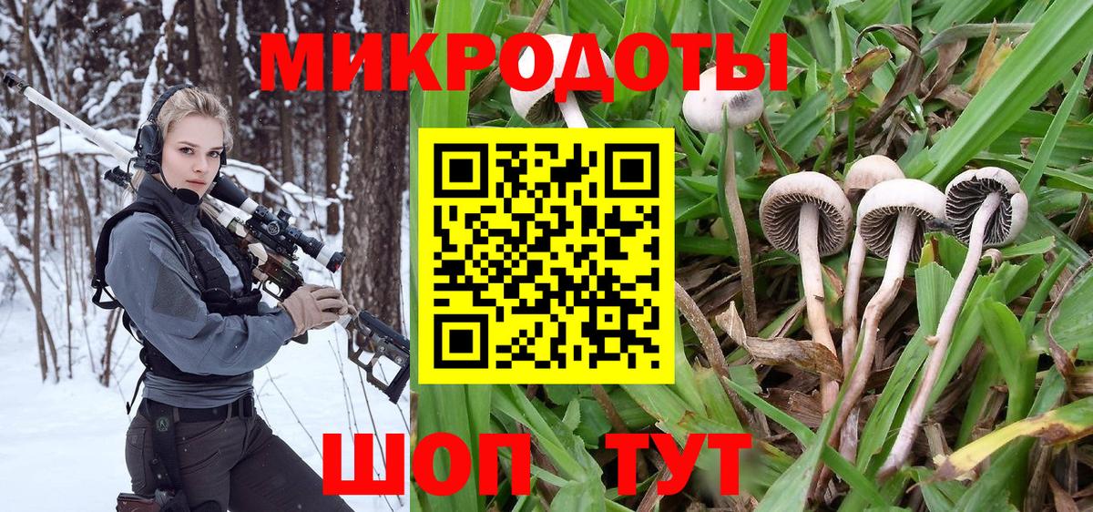 Чебаркуль  Галлюциногенные грибы мухоморы  Вход с VPN 