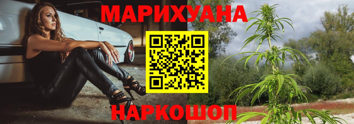 Марихуана сатива Чебаркуль